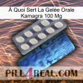 À Quoi Sert La Gelée Orale Kamagra 100 Mg 34